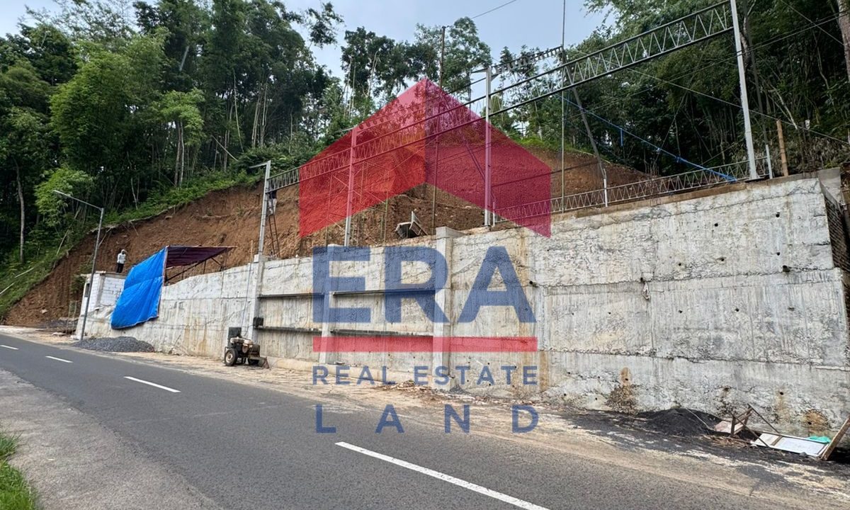 WhatsApp Image 2026-01-27 at 07.23.53