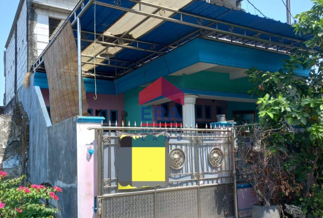 WhatsApp Image 2026-01-27 at 15.08.10