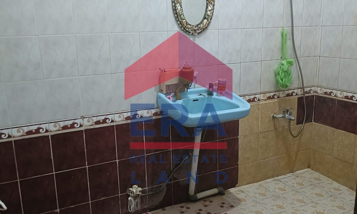 WhatsApp Image 2026-02-03 at 10.45.51