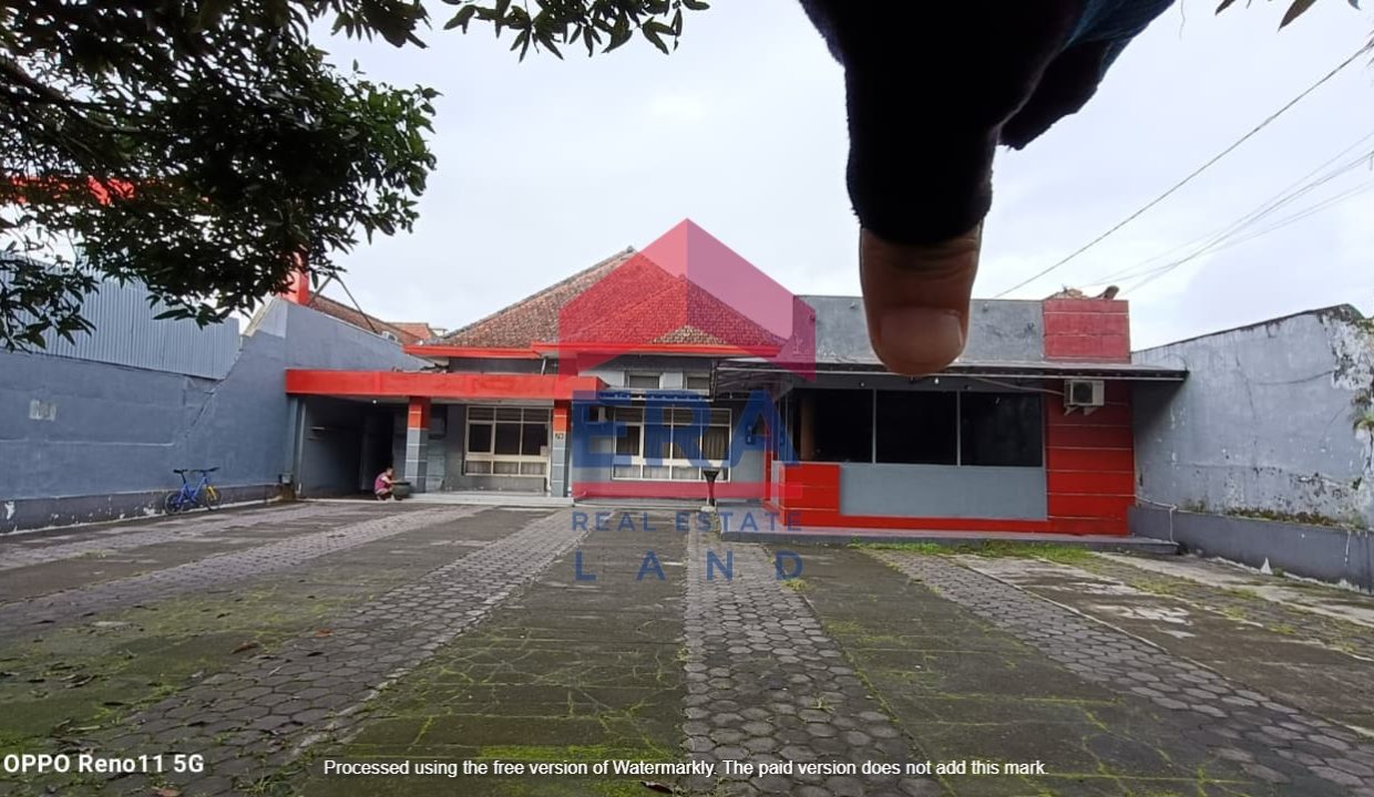 WhatsApp Image 2026-02-07 at 14.24.30