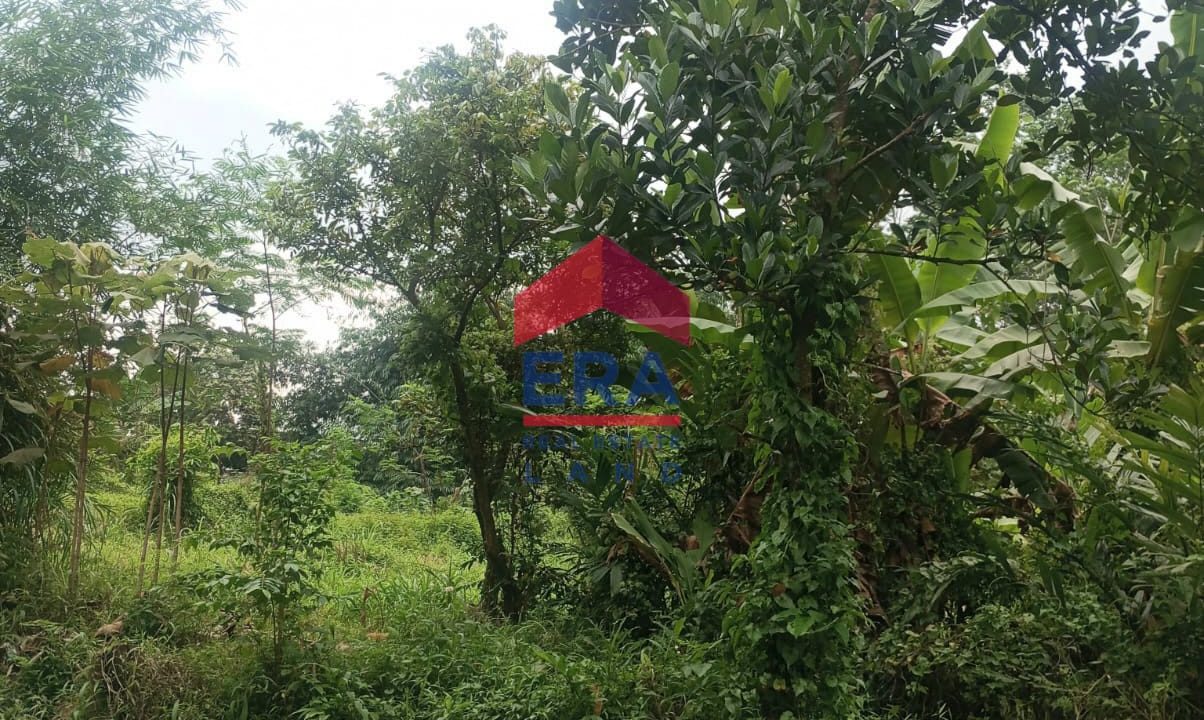 WhatsApp Image 2026-02-09 at 16.12.46``