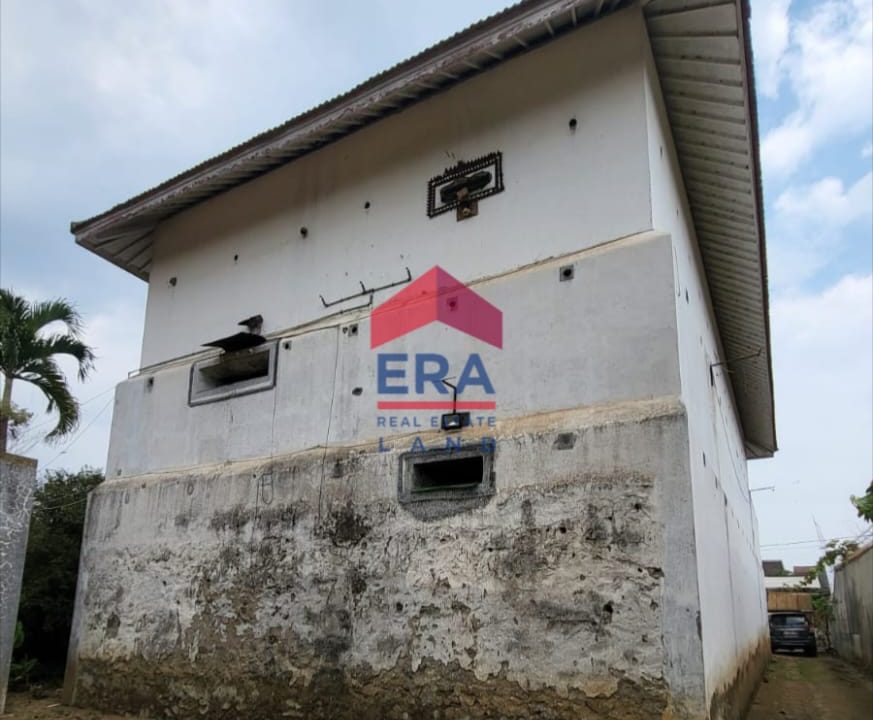 WhatsApp Image 2026-03-06 at 12.57.06